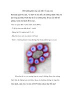 1001 những điều bạn cần biết về cảm cúm pdf