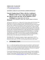 Chuyển gen vào ngô doc