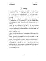 Thực tập tại công ty cổ phần đầu tư và phát triển đô thị long giang