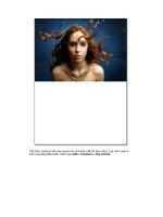 Giáo trình hình thành công cụ ứng dụng kỹ thuật Automate sắp xếp ảnh minh họa trong đồ họa p5 ppsx