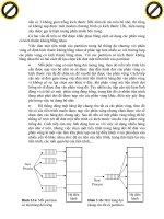 Giáo trình hình thành hệ thống ứng dụng điều phối cung cấp processor cho bo mạch p2 potx