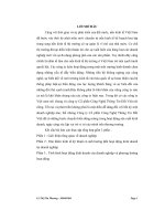 Thực tập tổng hợp tại công ty cổ phần công nghệ thông tin đất việt