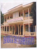 Giáo án điện tử tiểu học: Chăm làm việc nhà pdf