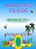 Giáo án điện tử tiểu học: Khoa học lớp 5 doc