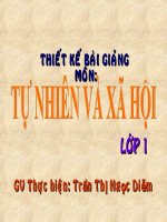 Giáo án điện tử tiểu học: Con gà ppsx