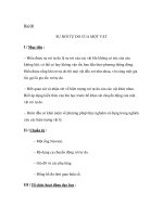 Bài 06 SỰ RƠI TỰ DO CỦA MỘT VẬT potx