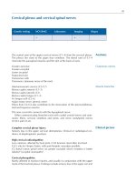 Atlas of Neuromuscular Diseases - part 3 pptx