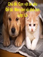 Giáo trình điện tử mầm non: Động vật sống trong nhà ppt