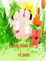 Giáo trình điện tử mầm non: Hiện tượng tự nhiên doc