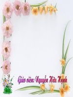 Giáo án điện tử mầm non: Cây rau và lá pdf