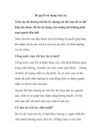 Bí quyết sử dụng trái cây ppsx