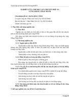 Tóm tắt báo cáo nghiên cứu khoa học 