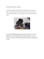 Bộ chế hòa khí cho động cơ methanol potx