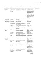 The Hidden Power of Photoshop Elements 4 PHẦN 3 pdf