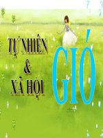Giáo án điện tử tiểu học: Gió pps