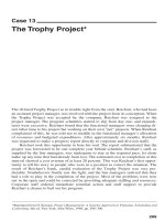 Strategy strategic planning for project management phần 9 pps