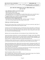 Công ty cổ phần Bibica - Bản thuyết minh báo cáo tài chính quý 1 năm 2008 potx