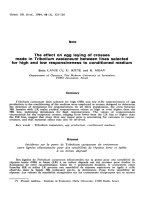 báo cáo khoa học: 