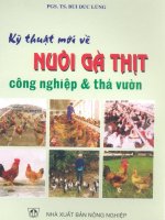 Kỹ thuật mới về nuôi gà thịt công nghiệp và thả vườn part 1 ppsx