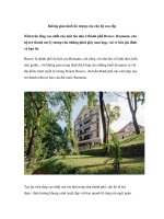 Không gian kính ấn tượng của căn hộ cao cấp docx