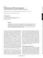 The diversity of LTR retrotransposons ppt