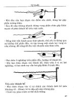 Dạy trẻ tập bơi part 7 potx