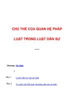 Vấn đề trong luật dân sự 1 pptx