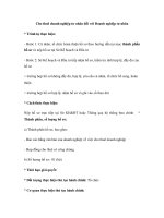 Cho thuê doanh nghiệp tư nhân đối với Doanh ngaCho thuê doanh nghiệp tư nhân đối với Doanh nghiệp tư nhân hiệp tư nhân * Trình tự thực ppt