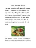Việc gì phải kiêng trái cây! doc