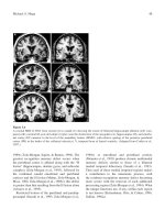 NEUROLOGICAL FOUNDATIONS OF COGNITIVE NEUROSCIENCE - PART 3 pot