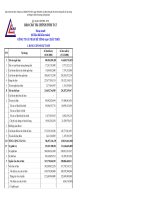 BÁO CÁO TÀI CHÍNH TÓM TẮT 2008 - CÔNG TY CỔ PHẦN BÊ TÔNG 620 CHÂU THỚI pps