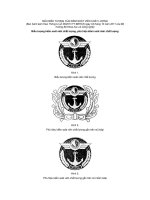 MẪU BIỂU TƯỢNG CỦA KIỂM SOÁT VIÊN CHẤT LƯỢNG - Biểu tượng kiểm soát viên chất lượng, phù hiệu kiểm soát viên chất lượng doc