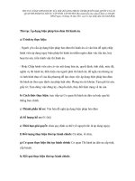 Thủ tục Áp dụng biện pháp bảo đảm thi hành án ppsx