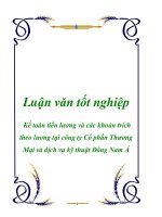 Luận văn: Kế toán tiền lương và các khoản trích theo lương tại công ty Cổ phần Thương Mại và dịch vụ kỹ thuật Đông Nam Á pot