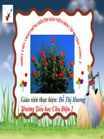 Giáo án điện tử tiểu học: Tỉnh thành phố nơi em sống pps