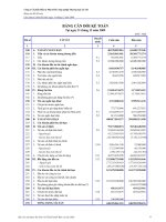 Công ty Cổ phần Đầu tư Phát triển Công nghiệp Thương mại Củ Chi - Bảng cân đối kế toán 2009 pptx