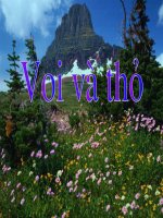 Giáo trình điện tử mầm non: Voi và thỏ pot