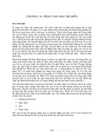 Giáo trình cơ sở kỹ thuật bờ biển - Chương 10 doc