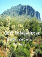 Giáo trình điện tử mầm non: Cây gì sống ở sa mạc pps