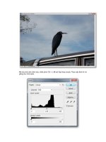 Giáo trình hình thành hệ thống ứng dụng cấu tạo phông nền sử dụng bộ lọc filter Arctis p5 potx
