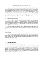 GIỚI THIỆU VỀ CÔNG TY CỔ PHẦN NTACO pptx