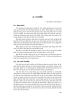 Kỹ thuật biển ( dịch bởi Đinh Văn Ưu ) - Tập 1 Nhập môn về công trình bờ - Phần 9 pot