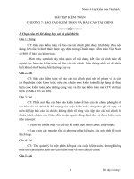 BÁO CÁO KIỂM TOÁN VÀ BÁO CÁO TÀI CHÍNH ppt