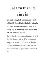 Cách xử lý khi bị rắn cắn ppt