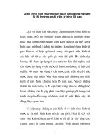 Giáo trình hình thành phân đoạn ứng dụng nguyên lý thị trường phát triển ở trình độ cao p1 pdf