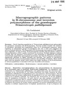 Báo cáo sinh học: 