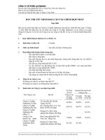 CÔNG TY CỔ PHẦN ALPHANAM - BẢN THUYẾT MINH BÁO CÁO TÀI CHÍNH HỢP NHẤT 2008 doc