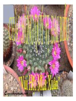 Giáo trình điện tử mầm non: Vui hội mùa xuân docx