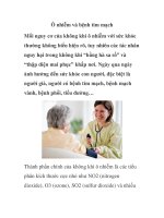 Ô nhiễm và bệnh tim mạch docx