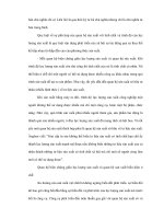 Lịch sử quan hệ sản xuất và áp dụng cảu các cơ quan lãnh đạo Việt Nam - 2 doc